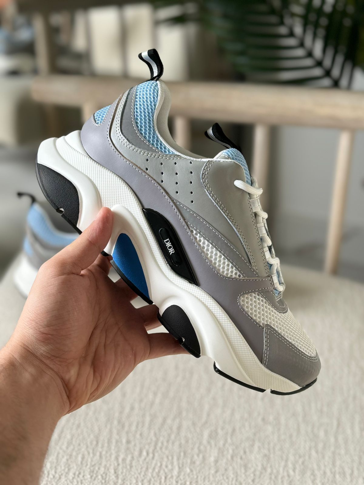 DIOR B22 Trainers