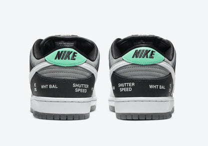 Nike Dunk Low SB 'Camcorder'